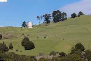 6065 Dimm Way, Richmond, CA 94805 - Photo 13