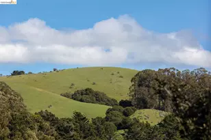 6065 Dimm Way, Richmond, CA 94805 - Photo 15