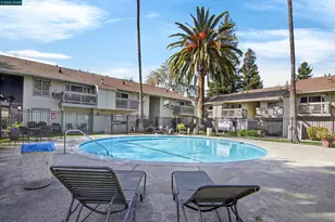 1241 Homestead Ave, Walnut Creek, CA 94598 - Photo 23