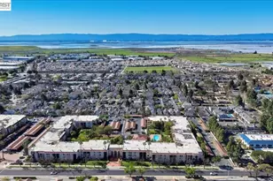 39843 Cedar Blvd, Newark, CA 94560 - Photo 49