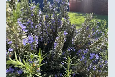 2672 Watson St, Castro Valley, CA 94546 - Photo 25