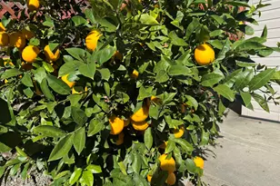 2672 Watson St, Castro Valley, CA 94546 - Photo 25