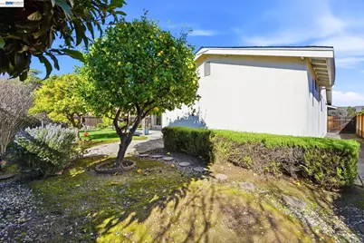 35429 Galen Pl, Fremont, CA 94536 - Photo 47