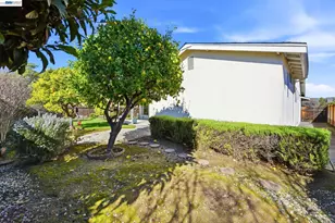 35429 Galen Pl, Fremont, CA 94536 - Photo 47