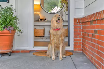 393 Colorados Ct, Lafayette, CA 94549 - Photo 5