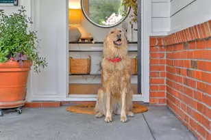 393 Colorados Ct, Lafayette, CA 94549 - Photo 5