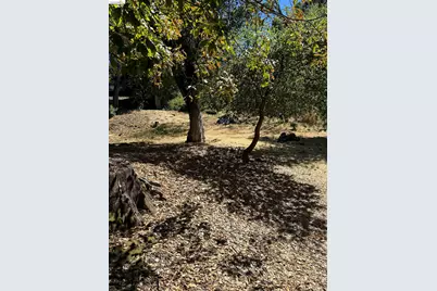 Spring Rd, Orinda, CA 94563 - Photo 3