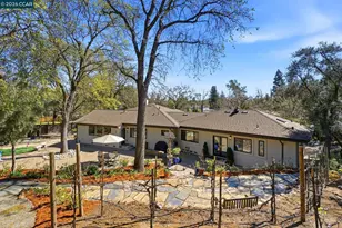 8 Simo St, Alamo, CA 94507 - Photo 35