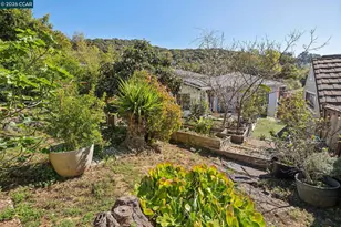 4037 Rusting Ave, Oakland, CA 94605 - Photo 43