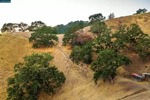 33 Deer Trail, Lafayette, CA 94549 - Photo 53