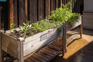 136 Shuey Dr, Moraga, CA 94556 - Photo 47