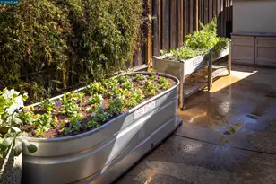 136 Shuey Dr, Moraga, CA 94556 - Photo 47