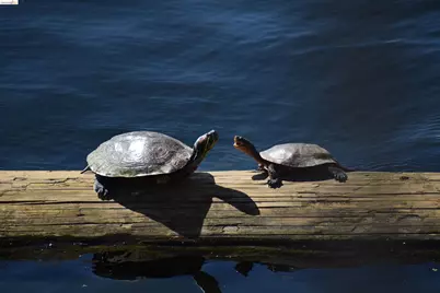 1056 Discovery Bay Blvd, Discovery Bay, CA 94505 - Photo 29