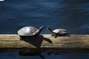 1056 Discovery Bay Blvd, Discovery Bay, CA 94505 - Photo 29