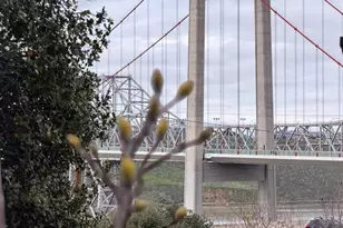 1799 Pomona St, Crockett, CA 94525 - Photo 11