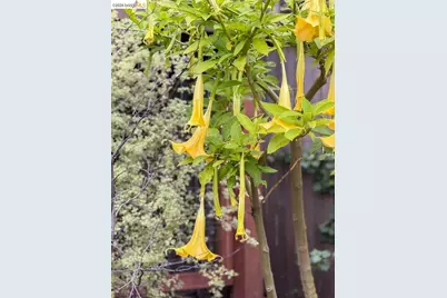 1799 Pomona St, Crockett, CA 94525 - Photo 47