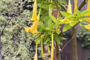 1799 Pomona St, Crockett, CA 94525 - Photo 47