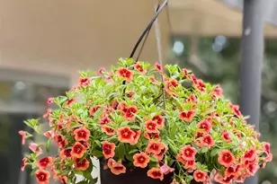 1799 Pomona St, Crockett, CA 94525 - Photo 27