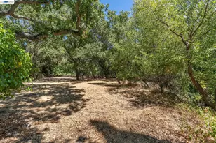 131 Montecito Crescent, Walnut Creek, CA 94597 - Photo 45