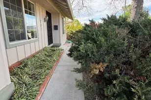 731 Del Norte Dr, Livermore, CA 94551 - Photo 3