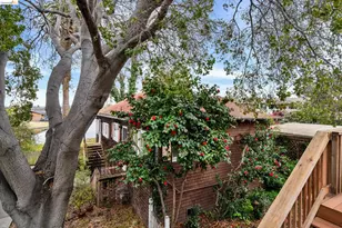 1822 Clinton Ave, Alameda, CA 94501 - Photo 43