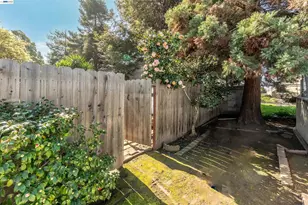 1805 Sundberg Ave, San Leandro, CA 94577 - Photo 21