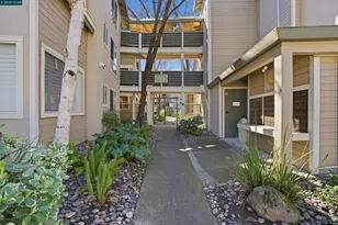 2560 Oak Rd, Walnut Creek, CA 94597 - Photo 35