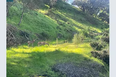 2965 Rohrer Dr, Lafayette, CA 94595 - Photo 5