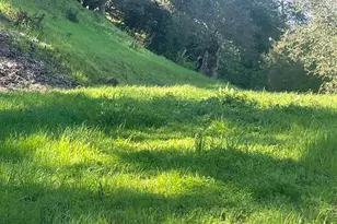 2965 Rohrer Dr, Lafayette, CA 94595 - Photo 1