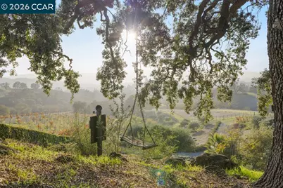 10 Serenity Ln, Alamo, CA 94507 - Photo 49