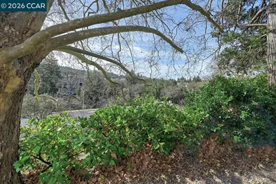 2005 Cactus Ct #4, Walnut Creek, CA 94595 - Photo 5