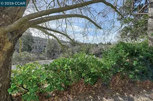 2005 Cactus Ct, Walnut Creek, CA 94595 - Photo 5