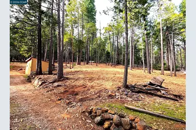 26625 Cedar Ave, Pioneer, CA 95666 - Photo 13