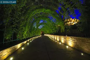 321 Livorna Heights Rd, Alamo, CA 94507 - Photo 57