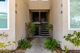 2724 Oak Rd, Walnut Creek, CA 94597 - Photo 51