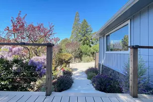 275 Orchard Rd, Orinda, CA 94563 - Photo 5