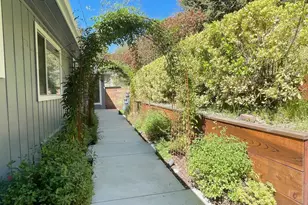 275 Orchard Rd, Orinda, CA 94563 - Photo 35