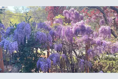 275 Orchard Rd, Orinda, CA 94563 - Photo 3