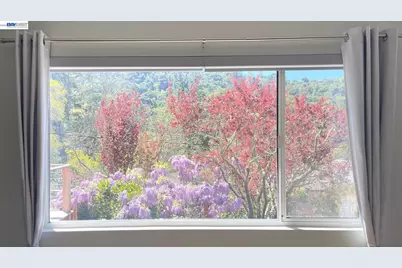 275 Orchard Rd, Orinda, CA 94563 - Photo 7