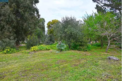 921 6th St, Benicia, CA 94510 - Photo 9