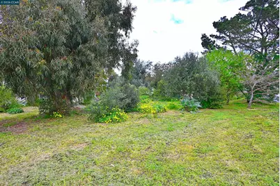 921 6th St, Benicia, CA 94510 - Photo 25