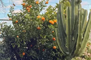 6055 Majestic Ave, Oakland, CA 94605 - Photo 51