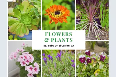 857 Balra Dr, El Cerrito, CA 94530 - Photo 59