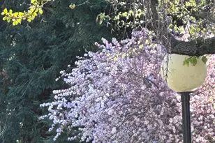 7332 Stonedale Dr, Pleasanton, CA 94588 - Photo 33