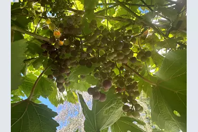 7332 Stonedale Dr, Pleasanton, CA 94588 - Photo 37