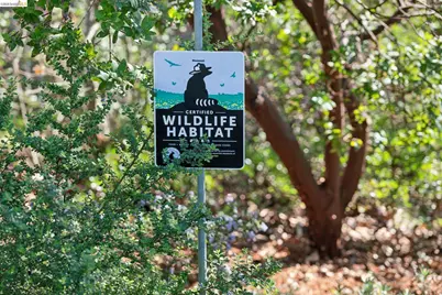 890 Keeler Ave, Berkeley, CA 94708 - Photo 7