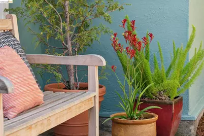 890 Keeler Ave, Berkeley, CA 94708 - Photo 5