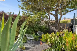 148 Highland Blvd, Kensington, CA 94708 - Photo 53