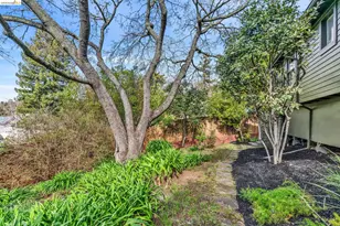 1101 Mountain Blvd, Oakland, CA 94611 - Photo 37