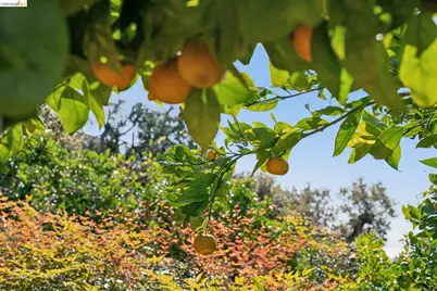 6411 Snake Road, Oakland, CA 94611 - Photo 51